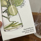 Danny Home Debonair Bottle 1Pcs
