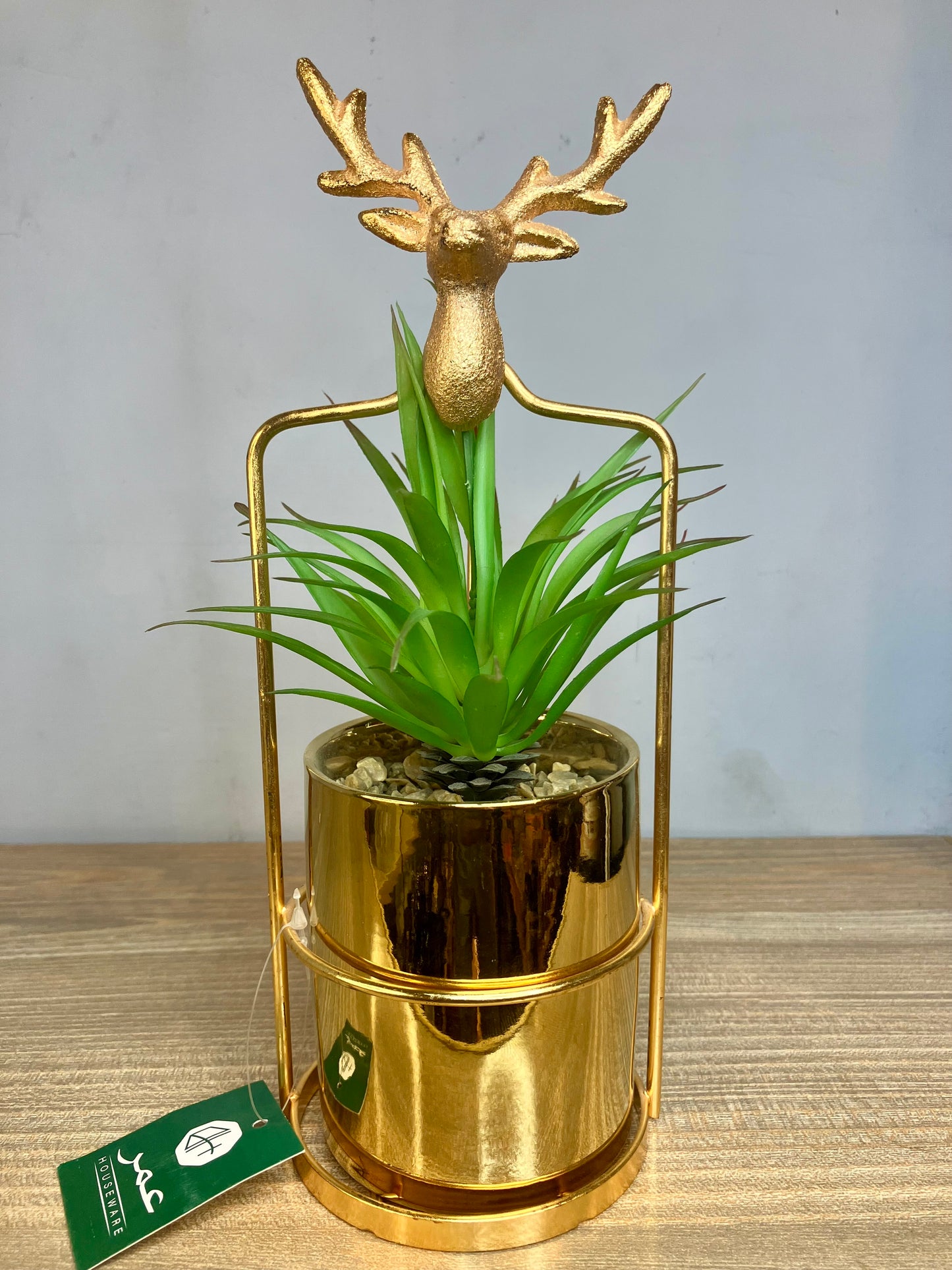 Elegant Plant Accent Alfa Decor